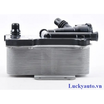 Két làm mát (sinh hàn) dầu số xe BMW 5 series F07, F10, F11_ 17217638582